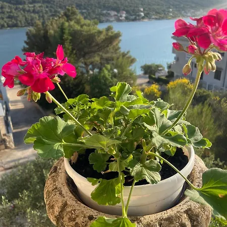 Apartment By The Sea Grebastica, Sibenik - 5270