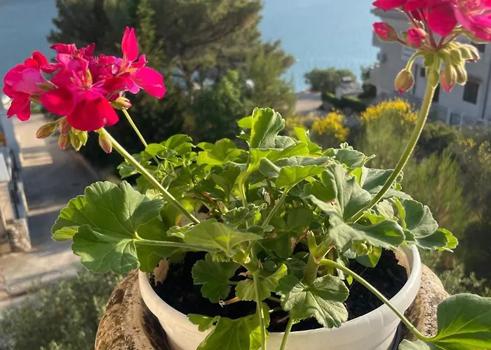 Apartamento By The Sea Grebastica, Sibenik - 5270